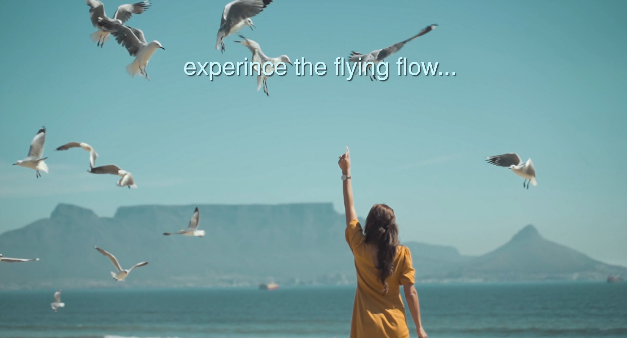 Flyflo Youtube video